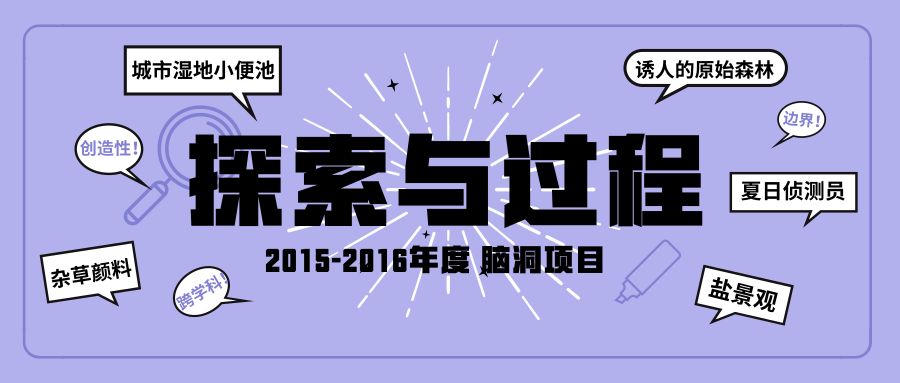 探索新澳2035，未来城市生活的智能管家—以管家婆资料为线索