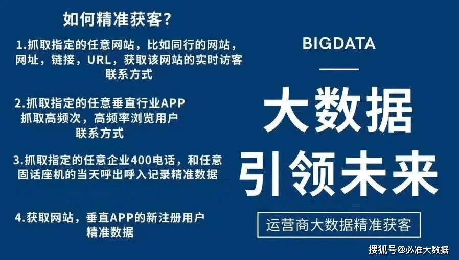 管家婆精准资料大全，深度解析与使用指南