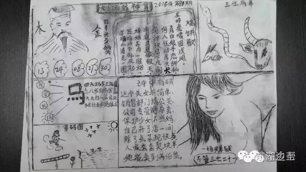 2049年，管家婆的马资料与未来展望管家婆24码期期准2017