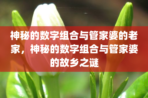 探索数字世界的奇境，揭秘www.7689012345.com/net]的神秘之旅7777788888管家婆老家