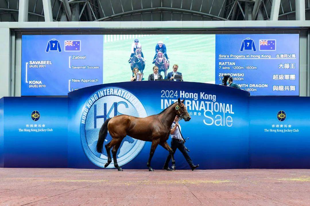 2019香港马会资料大全，免费获取的背后与价值探索香港2021年马会资料大全