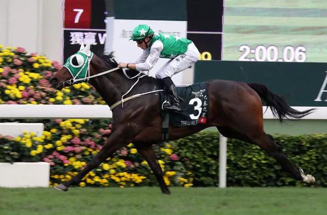 探索香港马会资料大全2019，传承与创新并进的赛事盛宴