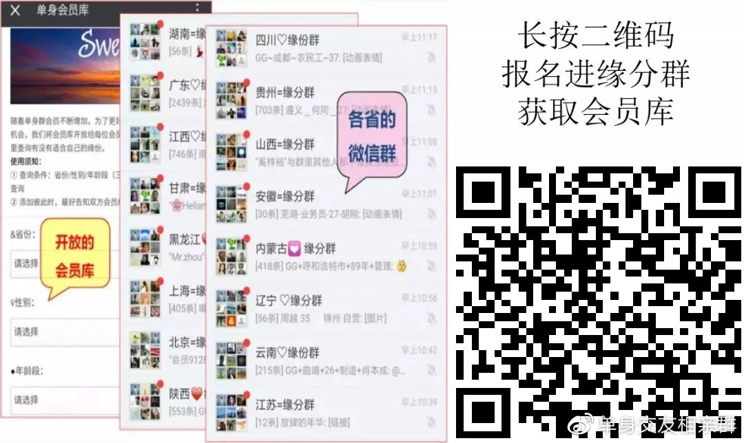曾夫人论坛752，网络社区的深度探索与文化交流曾夫人论坛ww7822数理分析7香港