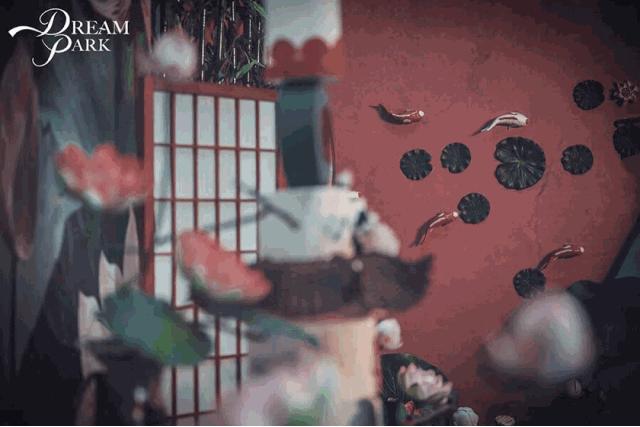 6合开奖，数字的魔力与生活的惊喜6合开奖结果记录