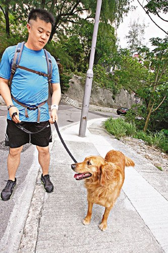 香港曾道资源