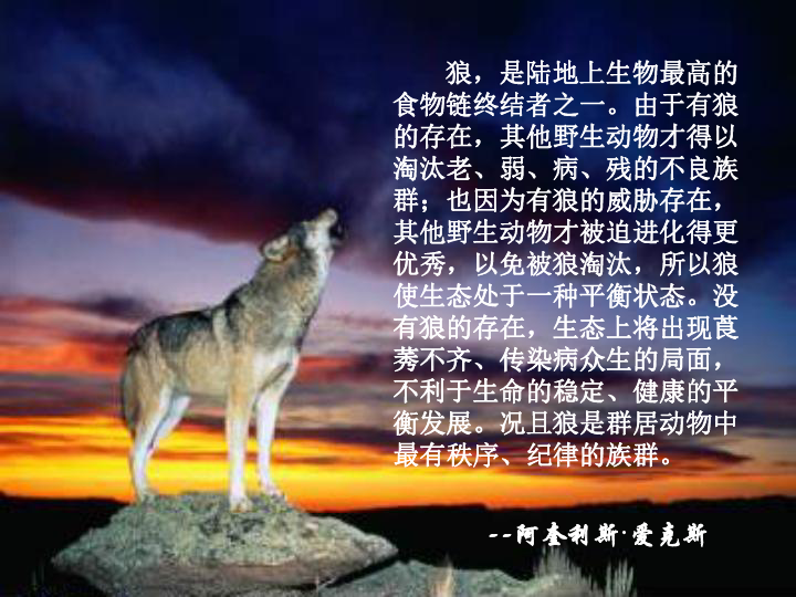广西的狼精英主论坛，汇聚智慧，共谋发展新篇章广西的狼精英主论坛在哪里