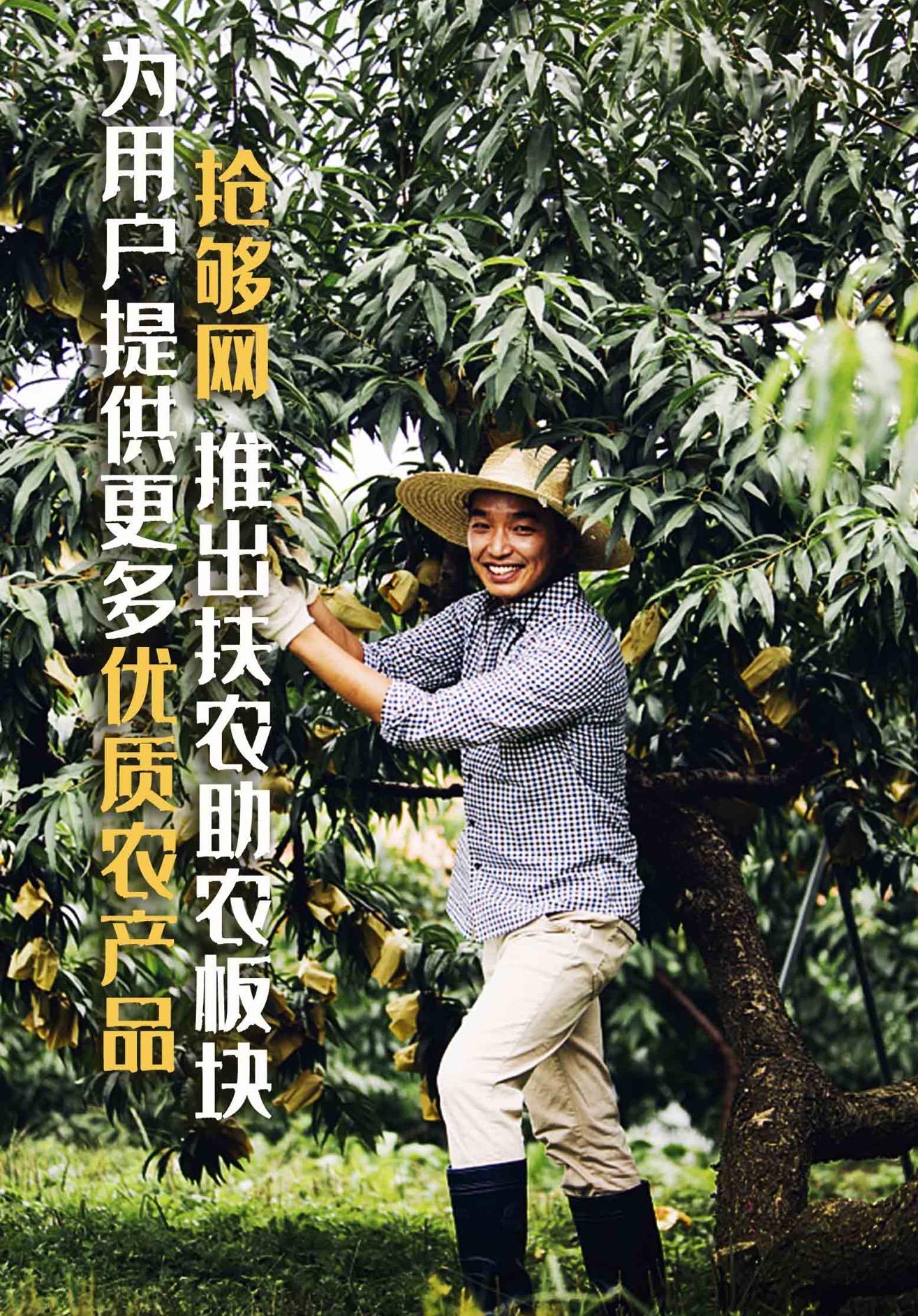 致富网6298，解锁财富之门的在线平台三农养殖致富网