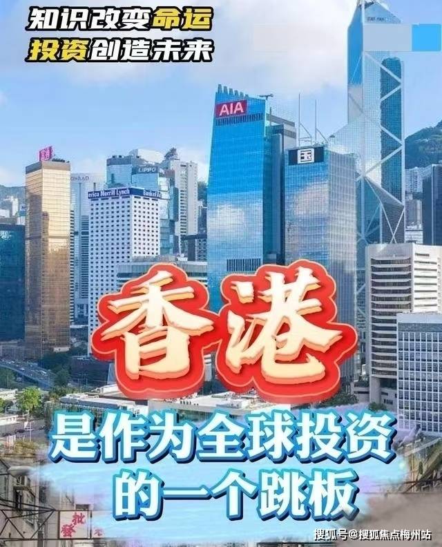 2048年澳门免费资料查询结果，透视未来与机遇的深度解析2024年澳门免费资料查询结果水果奶奶