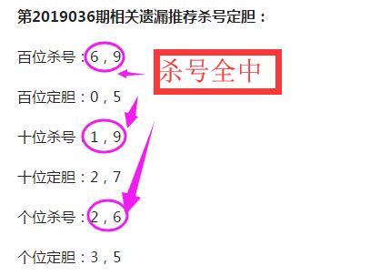 福彩3D2019年开奖号码综合走势图深度解析3d2019年所有开奖数据走势图