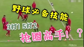 企讯达二肖四码，数字时代的精准营销与高效管理企讯达二肖四码期期准
