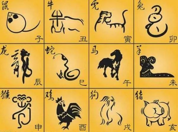 今晚只开一肖，揭秘生肖预测的奥秘与现实今晚开一只生肖是什么生肖
