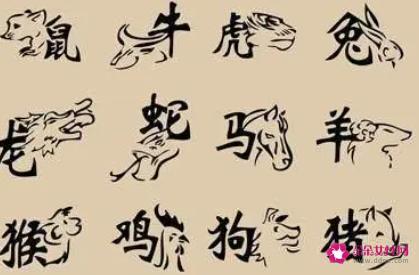 十二生肖谜语大全，解锁传统文化之趣十二生肖谜语大全谜语猜生肖