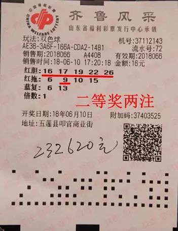 2025年5月12日 第8页