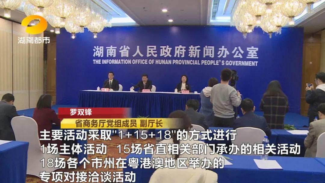 597人才网，连接梦想与机遇的桥梁597人才网招聘网官网