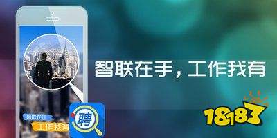 智联招聘官网入口，求职者的智慧之选智联招聘官网入口手机版登录