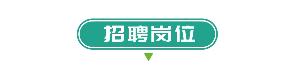 注册会计师，年薪之谜，揭秘高收入背后的真相注册会计师年薪真的很高吗
