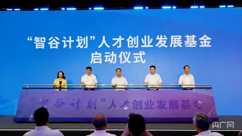 乐清人才网,打造区域性人力资源新生态的探索与实践乐清人才网电才网
