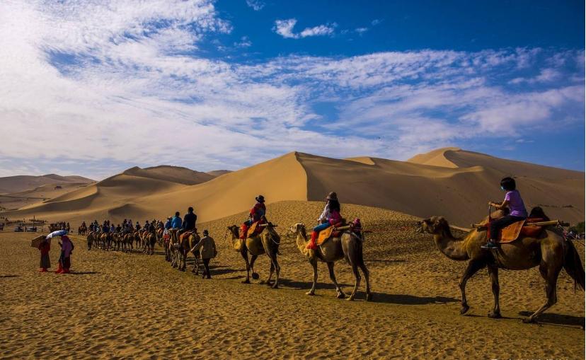 探索精彩旅程,国旅旅行社官网的全面解析青海国旅旅行社官网
