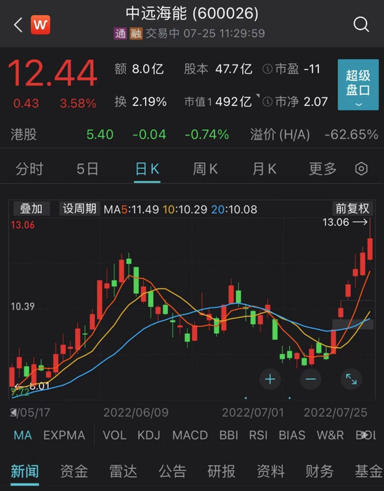 探秘中远海控股票,全球航运巨头的市场风云与投资机遇中远海控股票代码